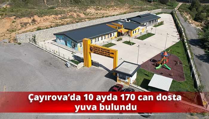 Çayırova’da 10 ayda 170 can dosta yuva bulundu