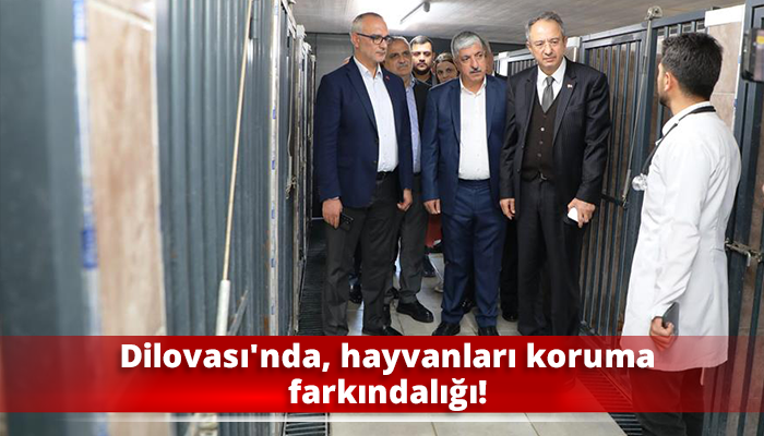 Dilovası'nda, hayvanları koruma farkındalığı!