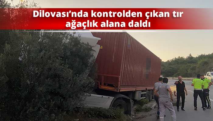 Dilovası’nda kontrolden çıkan tır ağaçlık alana daldı