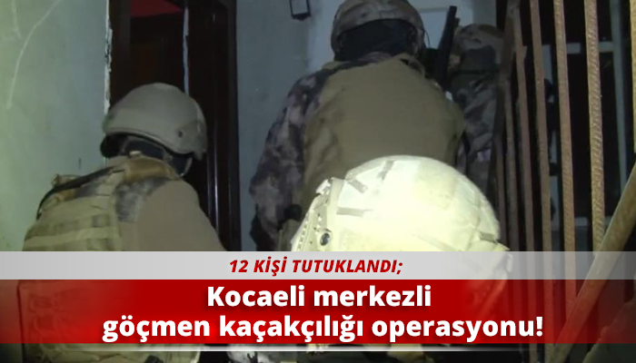 Kocaeli merkezli göçmen kaçakçılığı operasyonu!