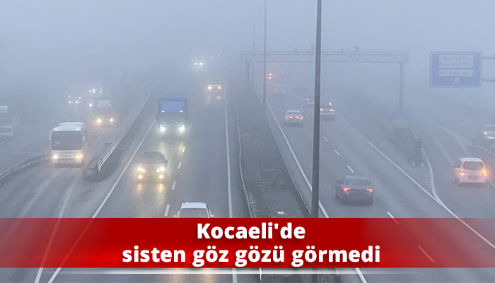 Kocaeli'de sisten göz gözü görmedi