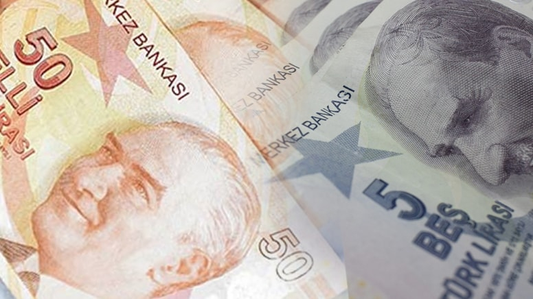 Yeni 5 ve 50 TL'lik banknotlar tedavüle çıkıyor